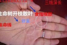 男人生命樹上「開枝散葉」，一生富貴財滿缽滿，三代跟著你享福-酷播亮新聞