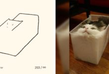 他每天畫一幅貓，但只用一根線條，堪稱喵星人的「靈魂畫手」！-酷播亮新聞