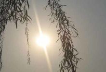 探險需要什麼裝備-酷播亮新聞