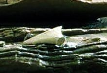 火星現規則三角形不明物體，科學家：或為遠古文明新物證-酷播亮新聞