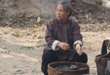 票房最高的老太太非她莫屬，戰狼2參演不說，如今我不是葯神還有她-酷播亮新聞