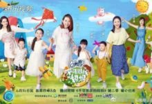 同是價值千萬的豪宅，蔡少芬的屋子面積輸給了何潔-酷播亮新聞