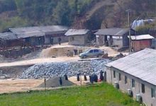 礦山開採，6千萬年前石灰岩中出現一種「神物」，考古界議論紛紛-酷播亮新聞