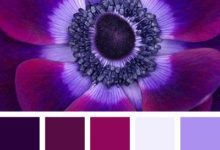 一組實物配色方案 色彩-酷播亮新聞