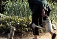 看到圖1圖2和圖4老奶奶和老大爺，心理一陣酸楚，還好有圖3-酷播亮新聞