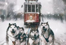 P圖大神，了解一下？-酷播亮新聞