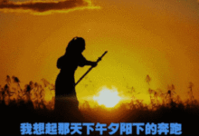 《獵毒人》終於按下了「開掛」的按鈕！-酷播亮新聞