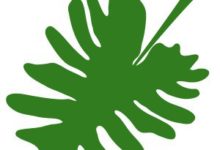 出門？不可能的！-酷播亮新聞