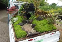 老闆，「風景」多少錢一斤？-酷播亮新聞