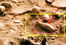 有人曾在火星上飲酒？NASA拍到酒瓶狀不明物體，或為文明新證據-酷播亮新聞