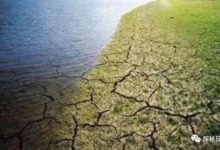 如果把太平洋抽干會發生什麼？說出來你都不一定相信-酷播亮新聞