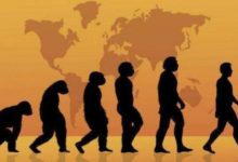 進化論或不適應人類？科學家發現人腦處於封禁狀態，沒有進化痕迹-酷播亮新聞