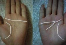 斷掌的男人都賺錢，真斷掌和假斷掌有什麼區別-酷播亮新聞