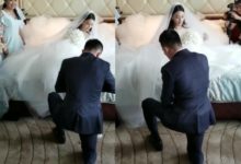 張馨予閨蜜曝光何捷接婚視頻挨批 刪除後道歉真心無意-酷播亮新聞