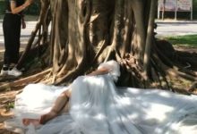 新娘躺巨樹底下拍婚紗照，成片上的她變畸形，攝影師：照片只能倒著看-酷播亮新聞