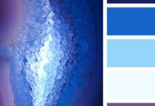 一波多彩的配色方案-酷播亮新聞