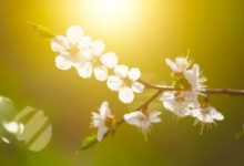 入睡前的5個壞習慣，會加速你的衰老，包括喝茶！-酷播亮新聞