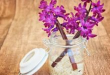 這三大星座越懶越聰明，命還特別好-酷播亮新聞