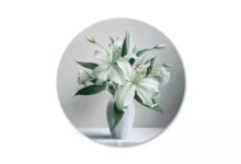 天啊，他竟然能用彩鉛把花畫成這樣！不服不行！-酷播亮新聞