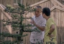 薪火相傳，匠心傳承，專業盆景學員招錄-酷播亮新聞