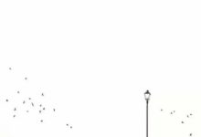 極簡攝影精髓-酷播亮新聞