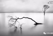 掌握5個元素，你的風景攝影一定會進步！-酷播亮新聞