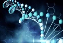 驢和馬生出的騾子沒有生育能力，所以混血兒缺陷的幾率大是真的嗎-酷播亮新聞