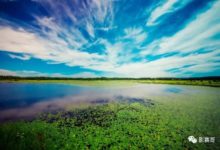 全國「​旅行​」攝影大賽​第4​期，快投我一票-酷播亮新聞