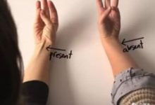 快看看自己手上有沒有這條筋？如果有，說明你遺傳了老祖宗的基因-酷播亮新聞