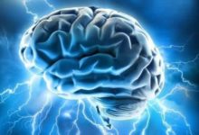 關於大腦，若事實正如科學家猜測的那樣，將會顛覆對宇宙的認識-酷播亮新聞