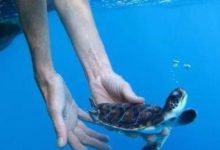 擁有這些特點的人，終會時來運轉，福氣衝天！-酷播亮新聞