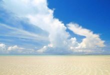 敢夢敢美：百雀羚聯合快手造夢-酷播亮新聞