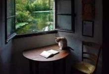 【談藝】鄉下的貓-酷播亮新聞