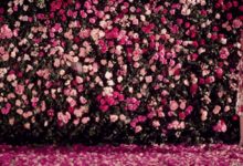 塔羅牌心測：測測你需要的愛情套路，超級准有木有-酷播亮新聞