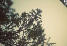 生存狂和末日籌備者們的求生技能有哪些？-酷播亮新聞