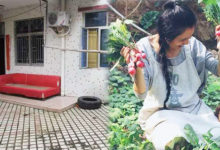 她厭倦都市高壓，毅然辭去高薪工作，租了所破舊農房進行改裝，最後變成「藝術房」，天天過神仙般的生活！-酷播亮新聞