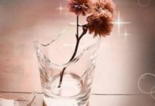 婚姻不幸的女人八字都有那些特點？-酷播亮新聞