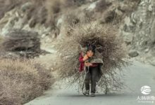 ​2018​武吉士國際攝影沙龍巡迴賽DigiRAP賽區獲獎揭曉，大揚獲13金等36獎！-酷播亮新聞