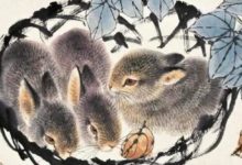 天生善良，菩薩心腸，這4大屬相與佛結緣，一生有好運相伴!-酷播亮新聞