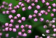 搞懂這一「點」，立刻出大片-酷播亮新聞