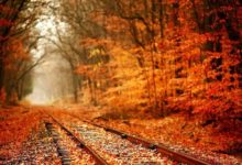 加拿大落基山脈有哪些秋景拍攝聖地？-酷播亮新聞