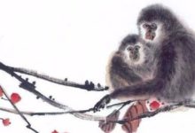 福運猴，中秋天宮賜福是時候來接福了 9月24開始「猴定乾坤」-酷播亮新聞