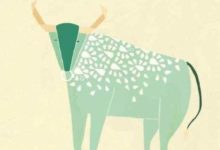 愛情里，生肖女最放不下的生肖男！-酷播亮新聞