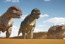 中國特暴龍首登大熒幕 能否剛得過霸王龍-酷播亮新聞