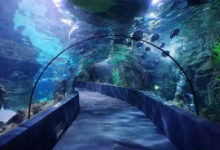 日照這個海邊小鎮，藏著這家必打卡的系列民宿-酷播亮新聞