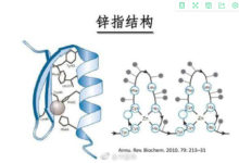 【金牛服務聊科普】基因編輯技術-酷播亮新聞