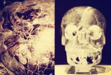 5億年前一雙踩在三葉蟲上的腳印，或證明一個驚人的地球文明史-酷播亮新聞