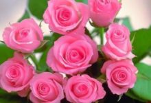 家有4生肖，10月步入上上籤，貴人八方來，再也不缺錢-酷播亮新聞