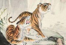 哪4大屬相一輩子最少富貴20年，要麼中大獎，要麼生意好！-酷播亮新聞