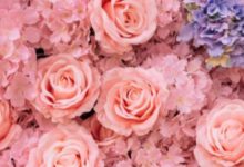 真愛依然沒有出現？不要急，占卜一下，ta是怎麼樣的人，超准！-酷播亮新聞